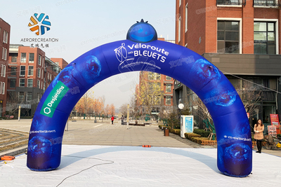  Des蓝莓半圆拱门 &nbsp;